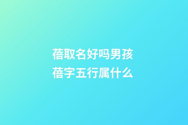 蓓取名好吗男孩 蓓字五行属什么